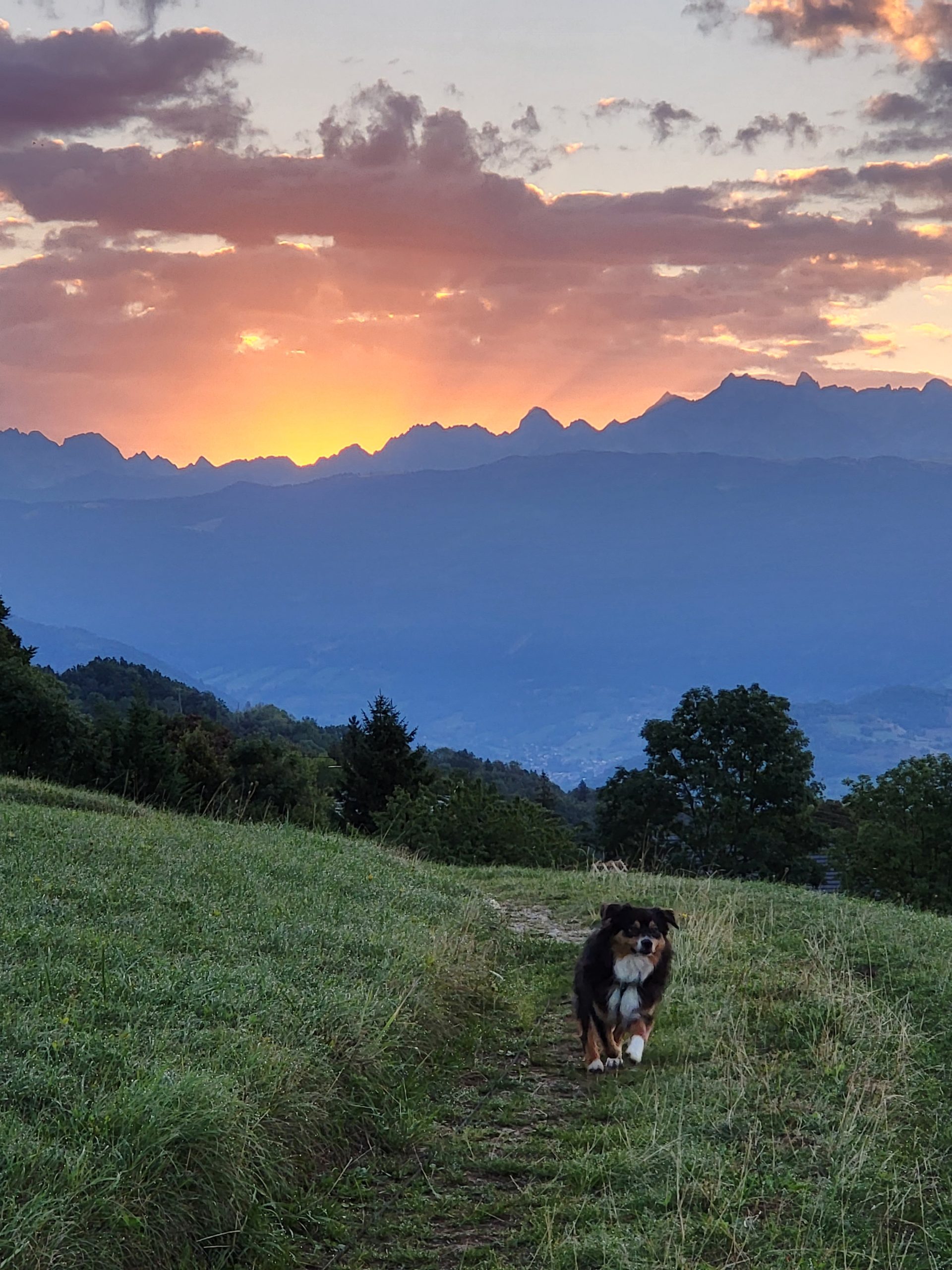 Portraits générationnels