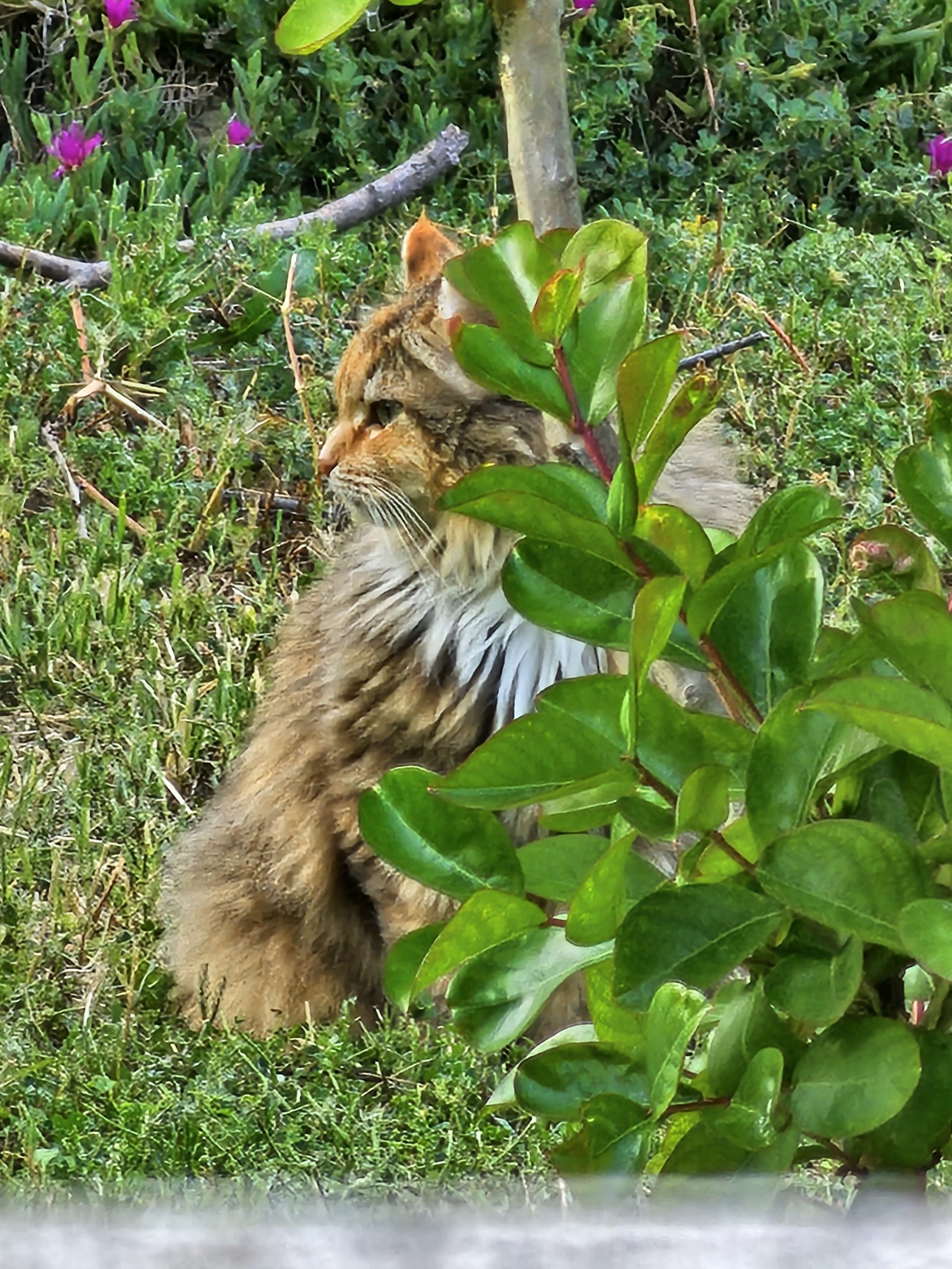 Famille en nature